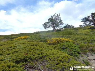 Lagunas de Pelañara-Peña Cítores- Guadarrama; rutas pedriza senderismo cercedilla